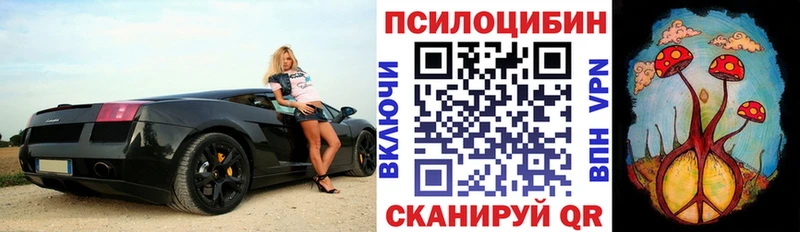 Галлюциногенные грибы Cubensis  гидра зеркало  Волгоград 
