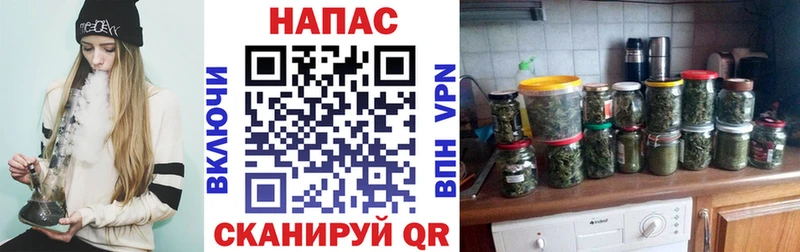 Канабис SATIVA & INDICA  сколько стоит  Волгоград 
